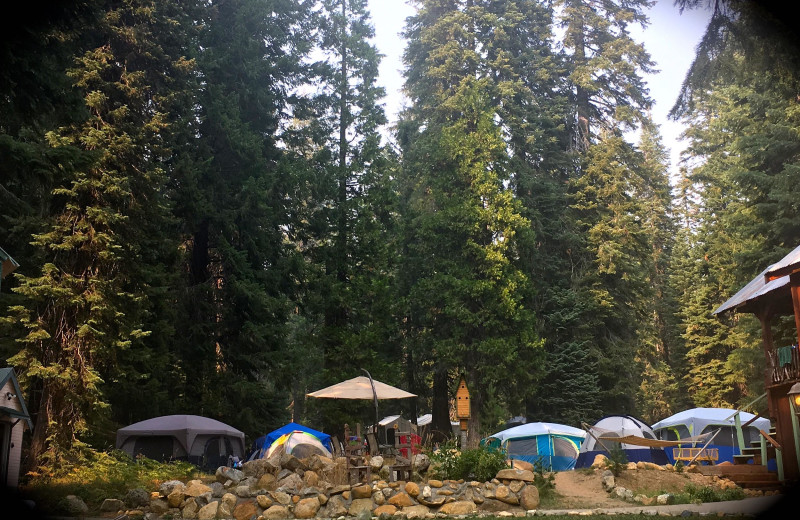 Camping at California's Mt. Shasta Trinity Mountains Resort.