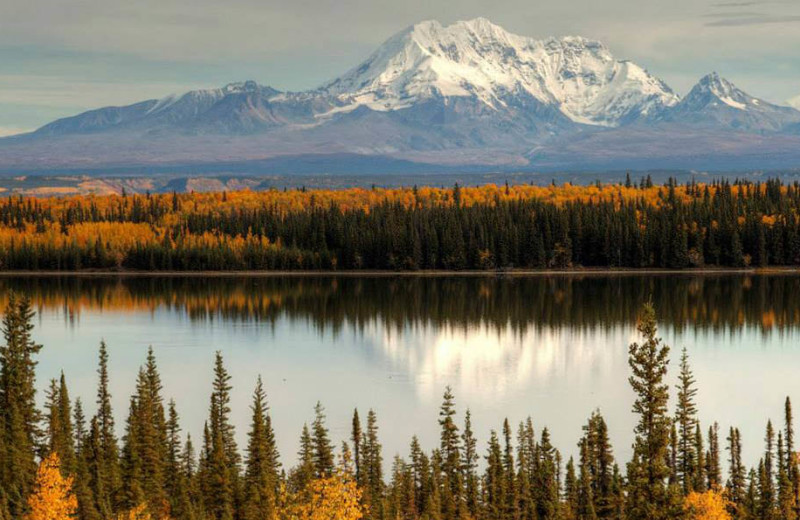 Fall in Alaska near Bridgewater Hotel.