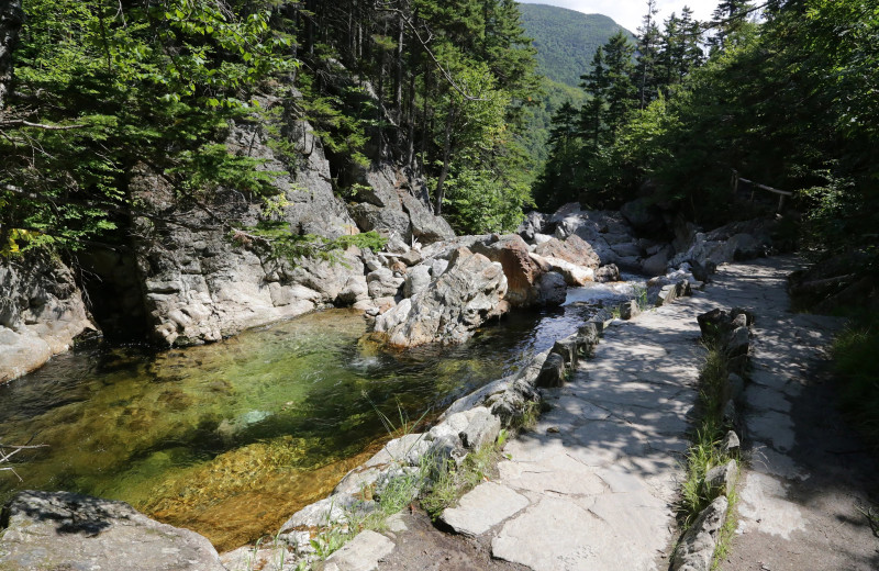 Park near Yogi Bear's Jellystone Park™ Camp-Resort Glen Ellis.