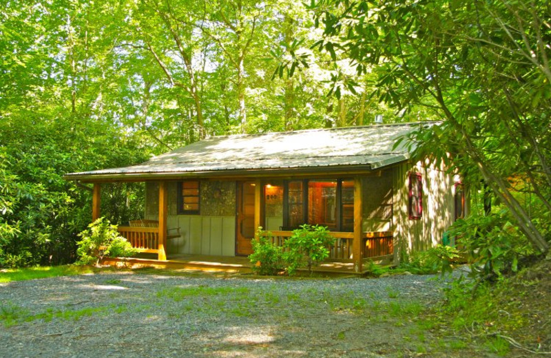 Cabin exterior at Linville Cabins.