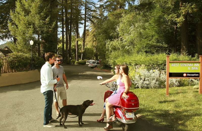 Pets welcome at West Sonoma Inn and Spa.