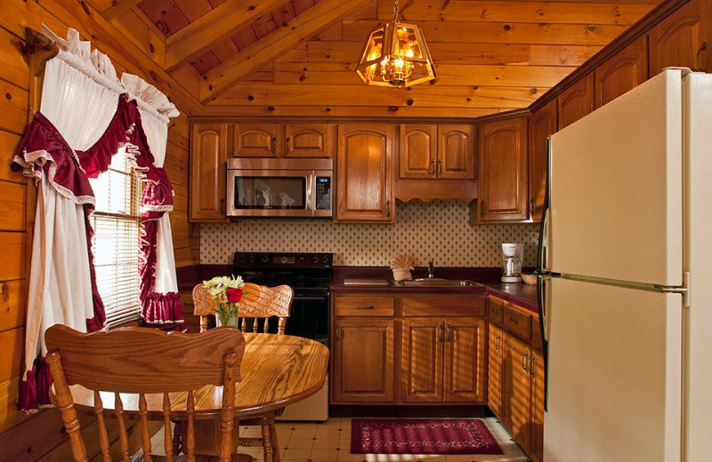 Cabin kitchen at Smoke Hole Caverns & Log Cabin Resort.