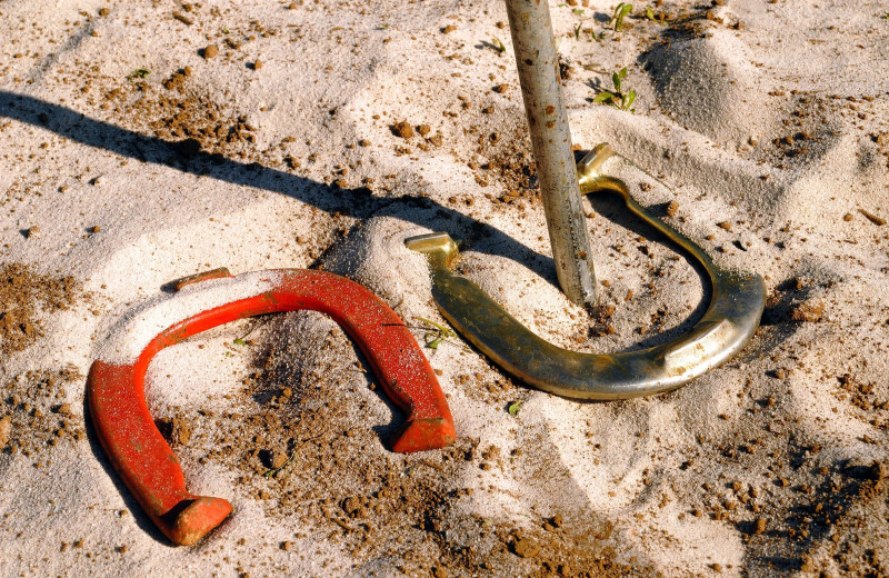 Horseshoes at Golden Beach Resort.