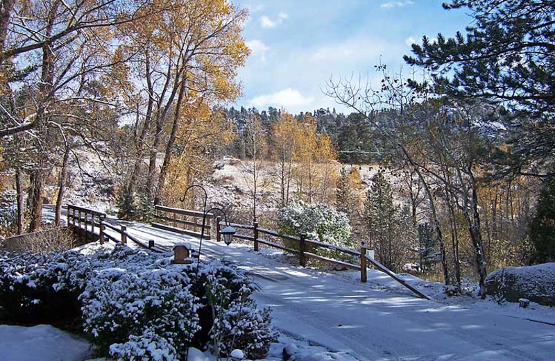 Winter landscape at 4 Seasons Inn.