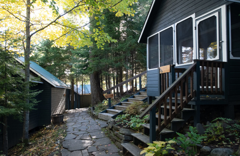 Cabins at Bartlett Lodge.