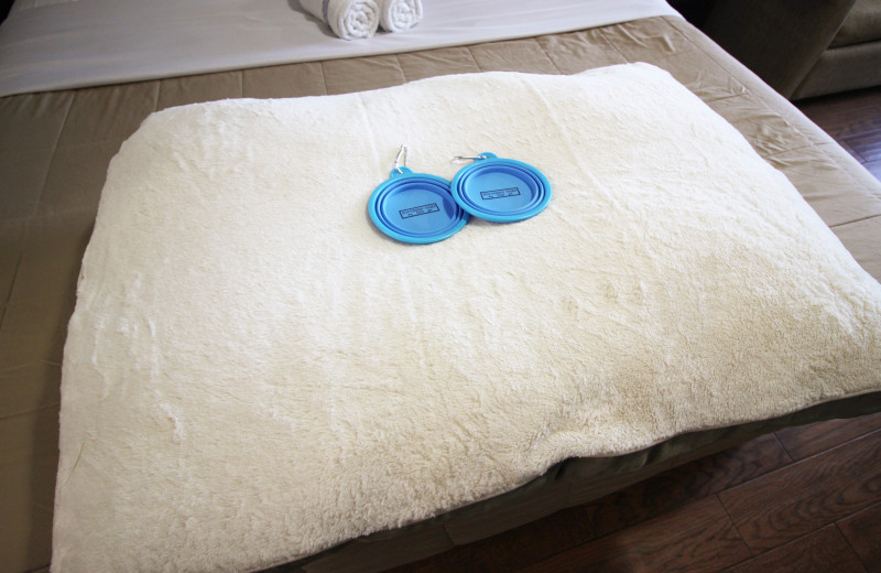 Pet bed and bowls at Southern Oaks Inn.