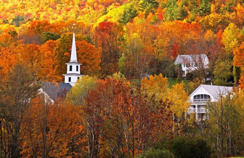 Fall colors at Rabbit Hill Inn.