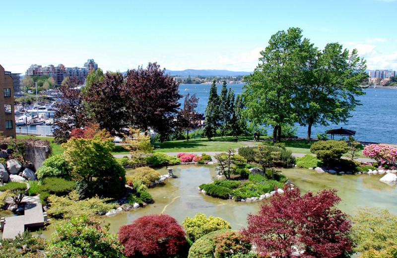 Japanese Garden at Inn at Laurel Point.