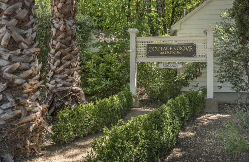 Garden at Cottage Grove Inn.