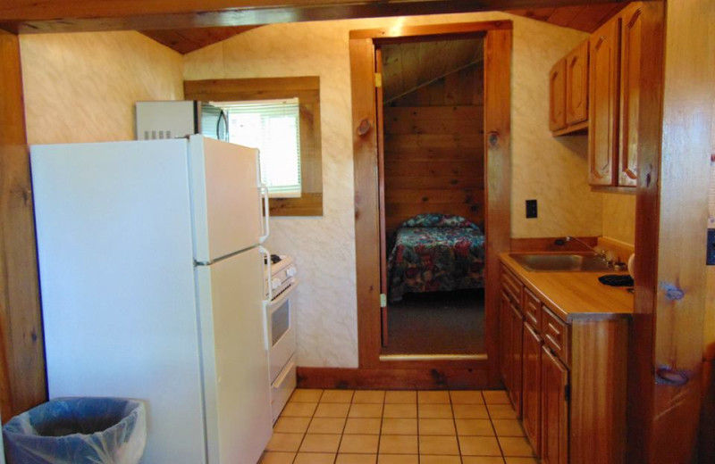 Cabin kitchen at The Depe Dene Resort.