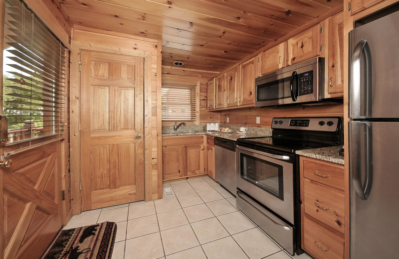 Cabin kitchen at Outrageous Cabins LLC.