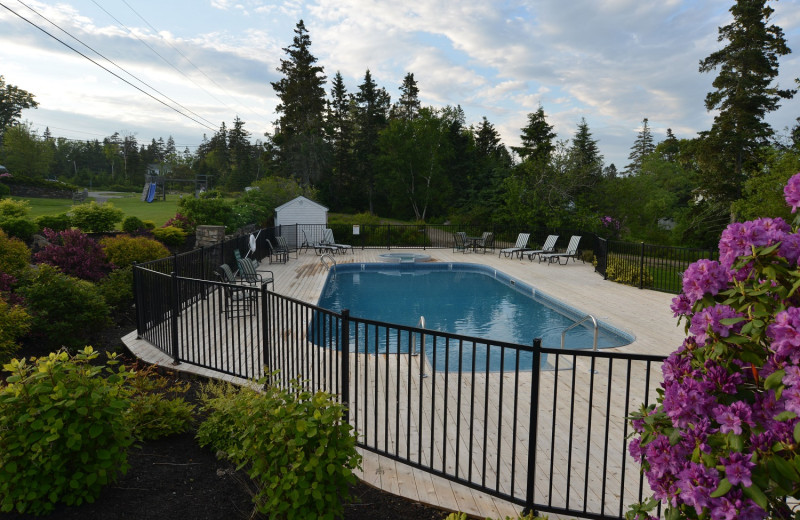 Outdoor pool at Newagen Seaside Inn.