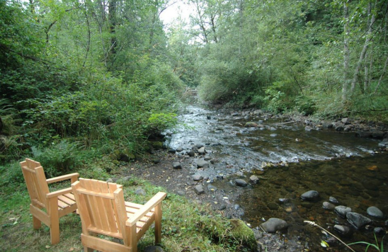 View from Cedar Cabin on the Creek.