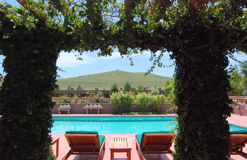 Outdoor pool at Cibolo Creek Ranch.