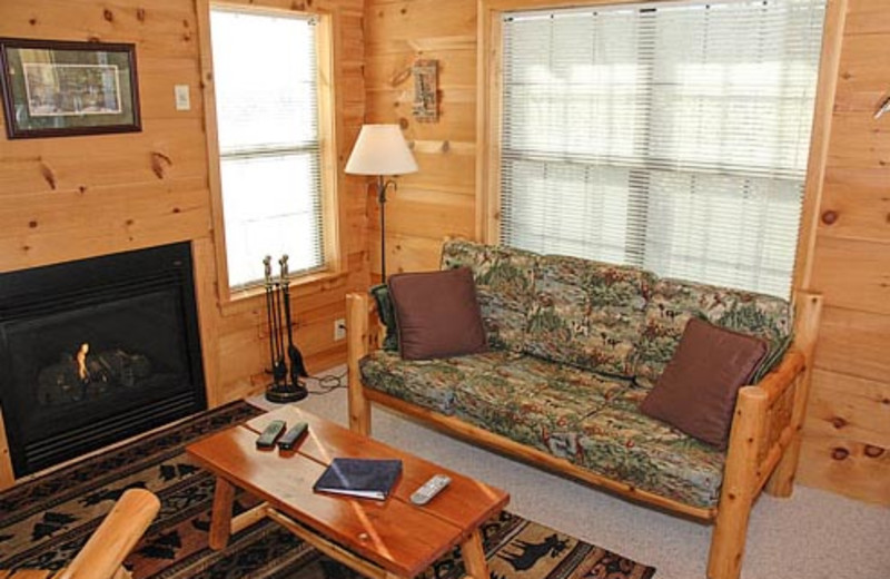 Vacation Rental Interior at Volunteer Cabin Rentals