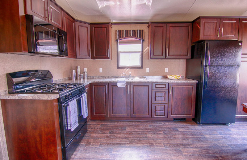 Cabin kitchen at Great Blue Resorts- Vine Ridge Resort.