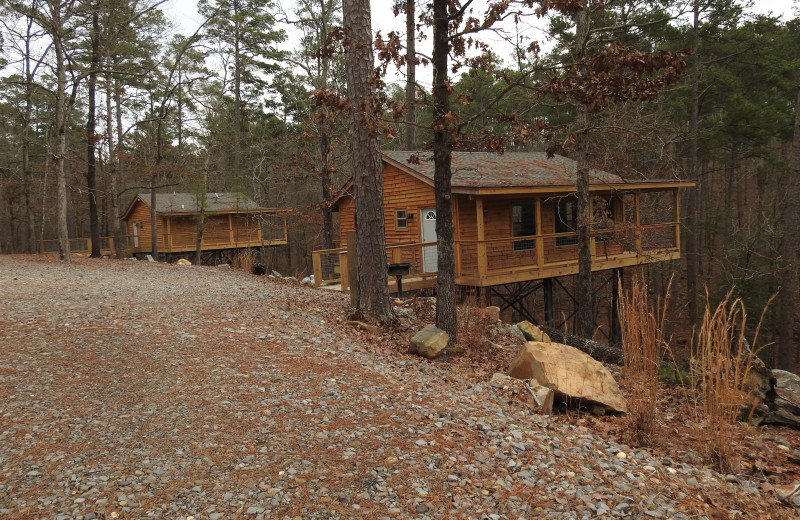 Cabins at Swaha Lodge 