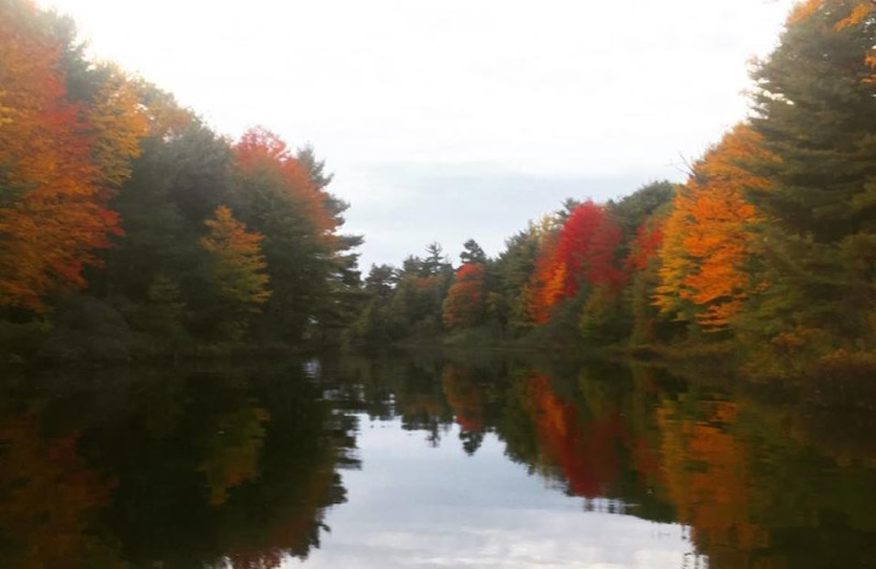 Fall leaves at Delawana Resort.