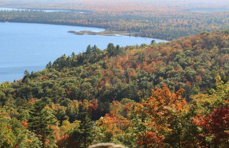 View of lake at Aqua Log Cabin Resort.