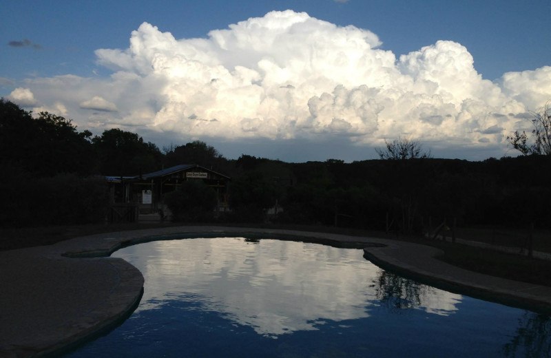 Outdoor pool at Roddy Tree Ranch.