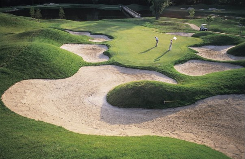 Sand traps at Doral Arrowwood.