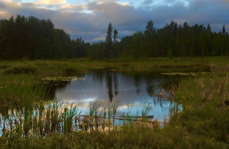 Lake view at Red Pine Wilderness Lodge.