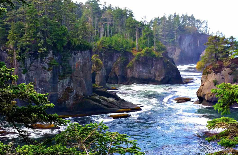 Visit Cape Flattery with Brigadoon Vacation Rentals.