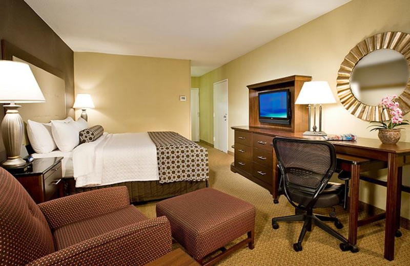 Guest Room at Crowne Plaza Washington Natl Airport