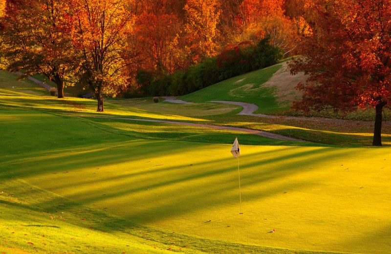 Golf course at Amazing Branson Cabin Rentals - RentBranson.