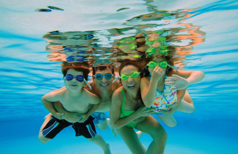 Family swimming at Grizzly Jacks Grand Bear Resort.