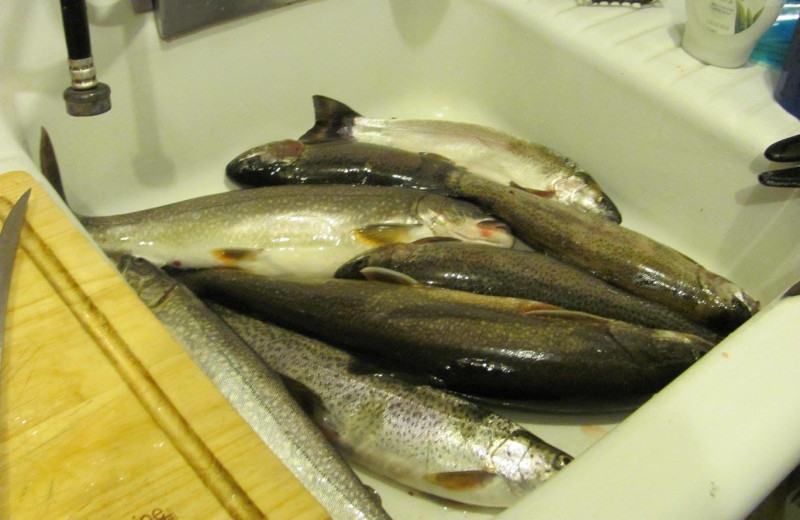 Fish cleaning house at Trout Lake Resort.