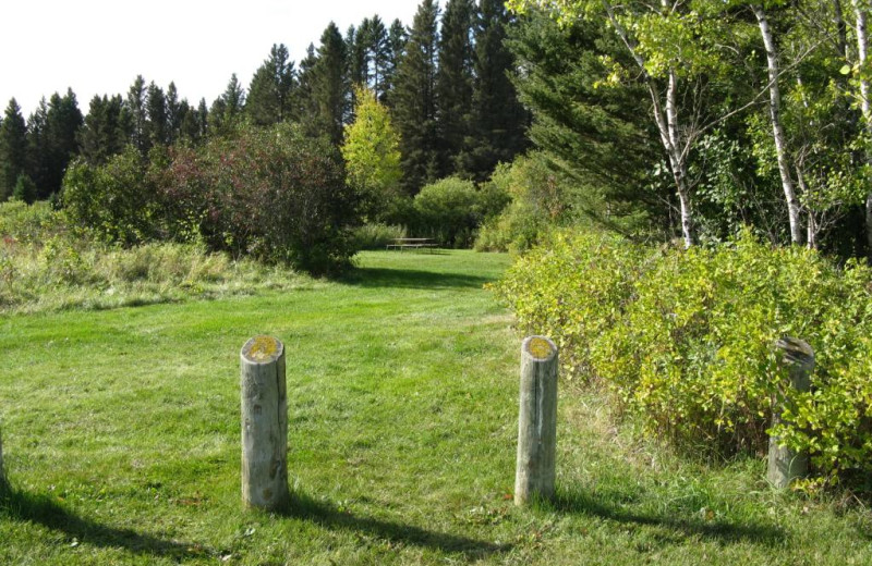 Campsite at Trailhead Ranch.