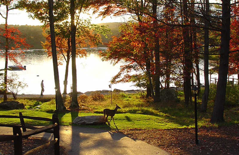 The Grounds at Ledges Hotel