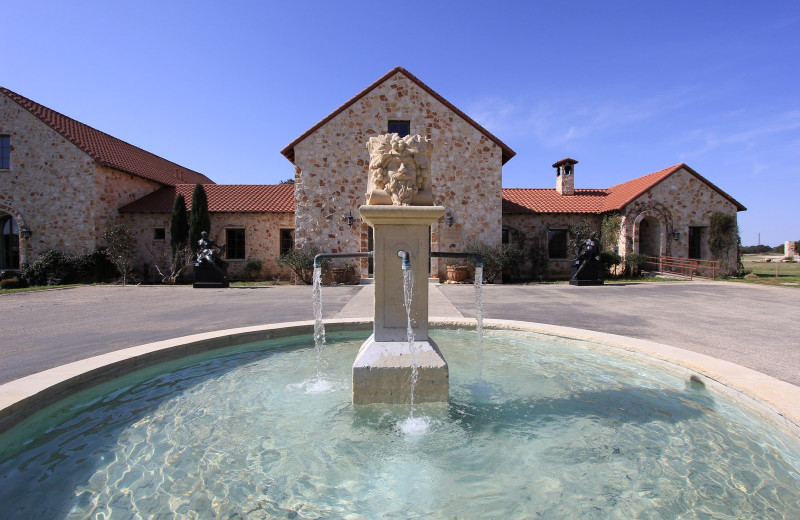 Fountain at The Vineyard at Florence.