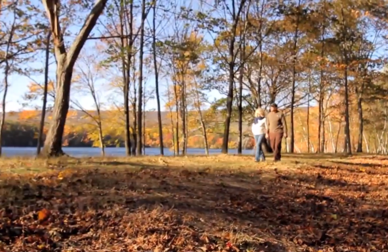 Recreation at Mountain Springs Lake Resort.