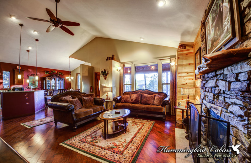 Rental living room at Hummingbird Cabins.