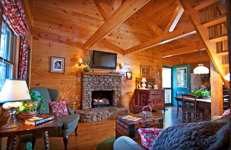 Cabin living room at Mountain Springs Cabins.