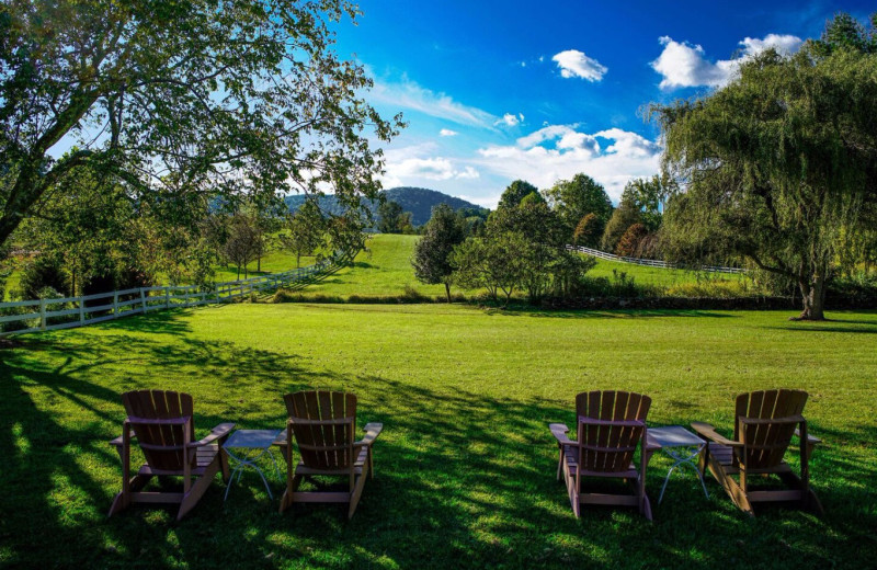 View from Foster Harris House Bed & Breakfast.