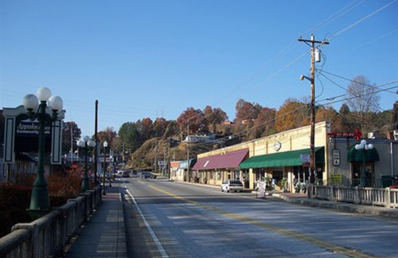 Restaurants in the Copper Basin near Avenair Mountain Cabins.