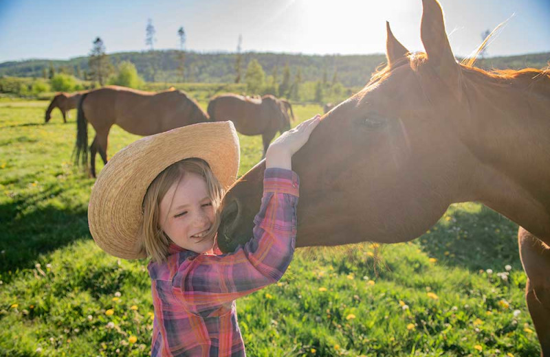 Horses at Vista Verde Ranch.