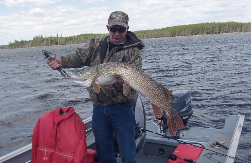 Catch and release at Sandy Beach Lodge.