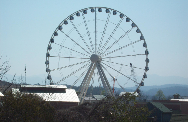 View from Timbers Lodge.