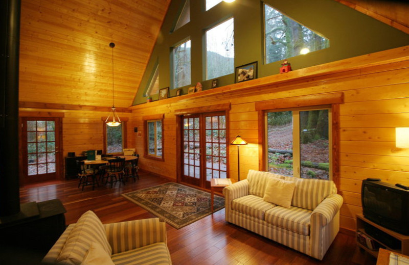 Cabin living room at Mt. Baker Lodging.