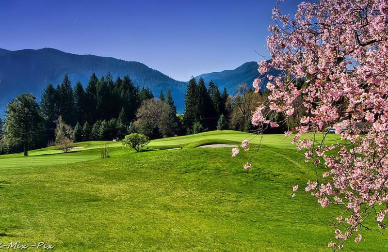 Golf course at Carson Hot Springs Spa.