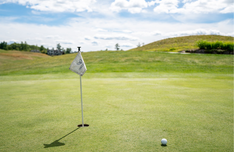 Golf at Owl's Nest Resort & Golf Club.