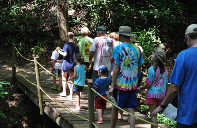 Geocaching at Yogi Bear's Jellystone Park Marion.