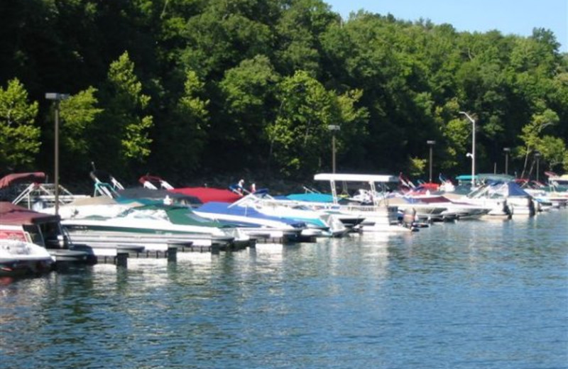 Marina at Woodson Bend Resort.