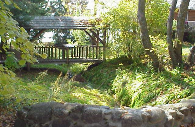 Bridge at Crow Wing Crest Lodge