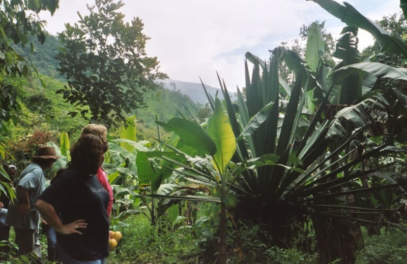 Hiking at Hacienda Primavera Wilderness Ecolodge.