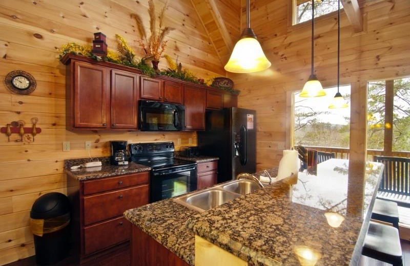 Cabin kitchen at Accommodations by Parkside Resort.